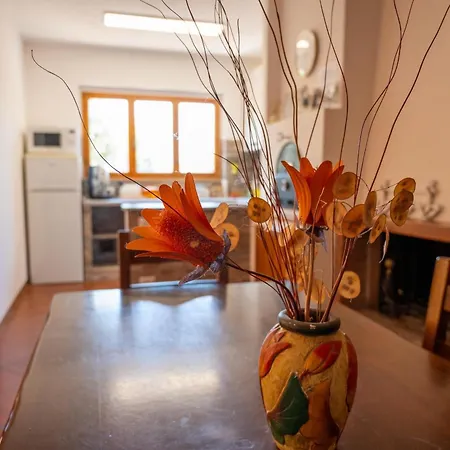 Slow Life La Casa Sul --- Di Jenny Via Vittorio Minelli Completamente Climatizzata Lägenhet *